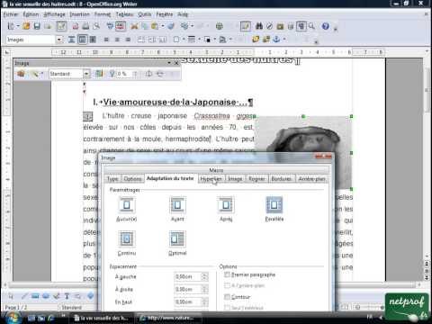 Open office ou Libre office - Texte long 10 - Inserer des images