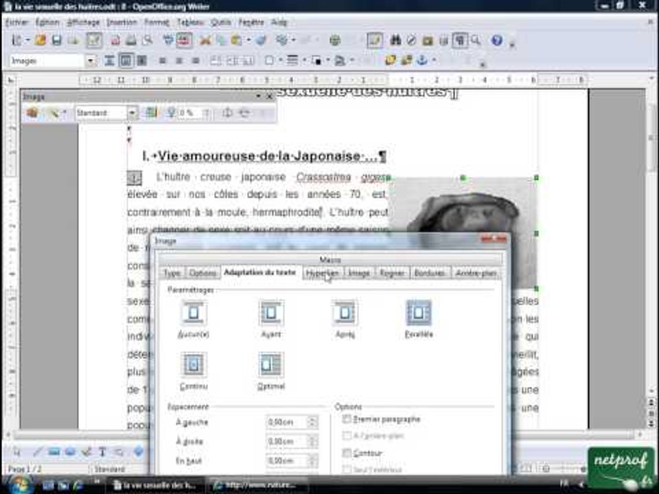 Open office ou Libre office - Texte long 10 - Inserer des images