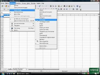 Open office ou Libre office - Tableur 03 - Affichage