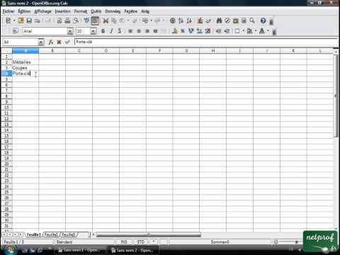Open office ou Libre office - Tableur 04 - Saisie des données