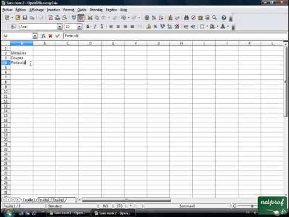 Open office ou Libre office - Tableur 04 - Saisie des données