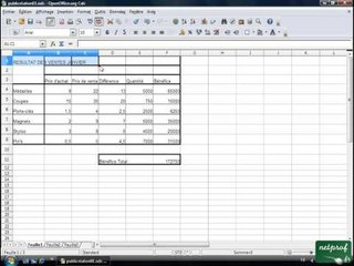 Open office ou Libre office - Tableur 10 - Fusionner centrer