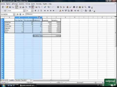 Open office ou Libre office - Tableur 09 - Les lignes et les colonnes