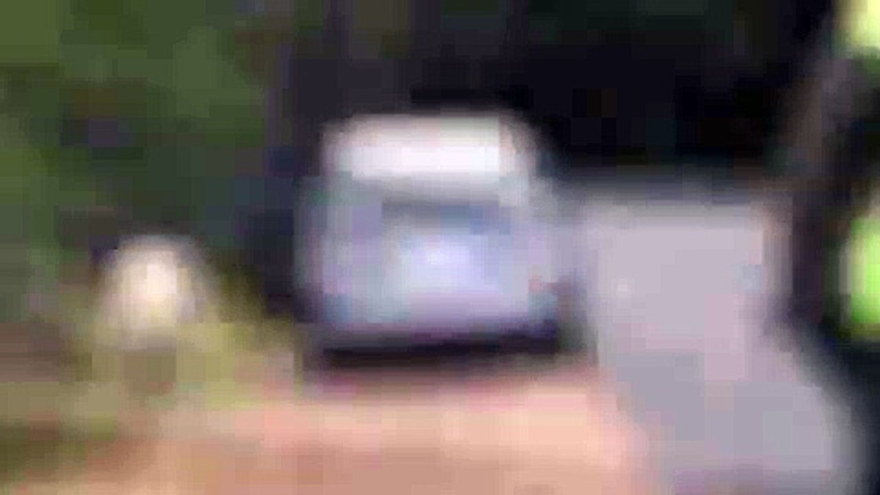 Baboons raid