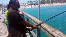 Florida Giant 13 Foot Hammerhead Shark! (FULL VIDEO)