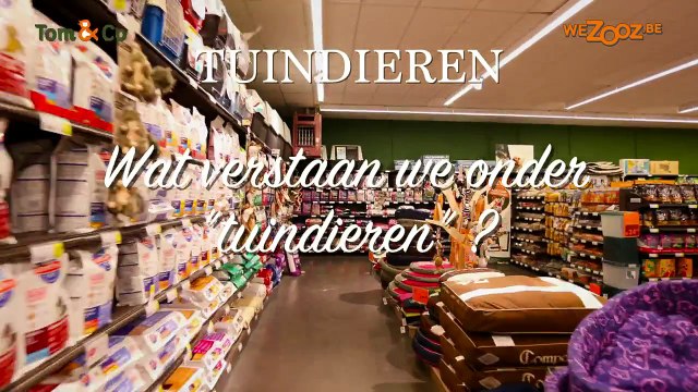Tuindieren - Hoe krijg ik meer dieren in de tuin - vlinders, vogels,... - Tom&Co