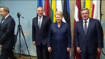 Baltic Leaders Call EU to Support Ukraine: Baltics criticize Russian military behaviour