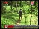 Girl electrocuted by electric fence in Matara