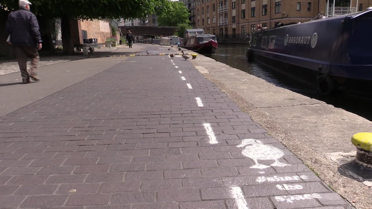 London: Keine Extra-Spur für Fahrräder, aber für Enten!