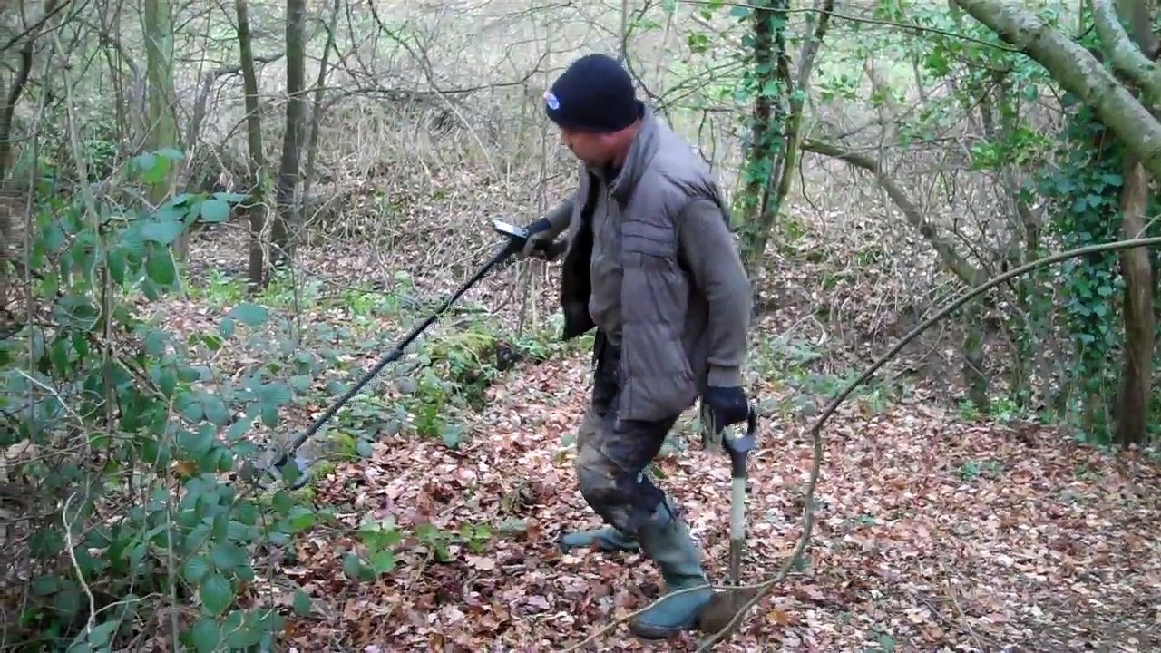 xp deus finding gold, metal detecting