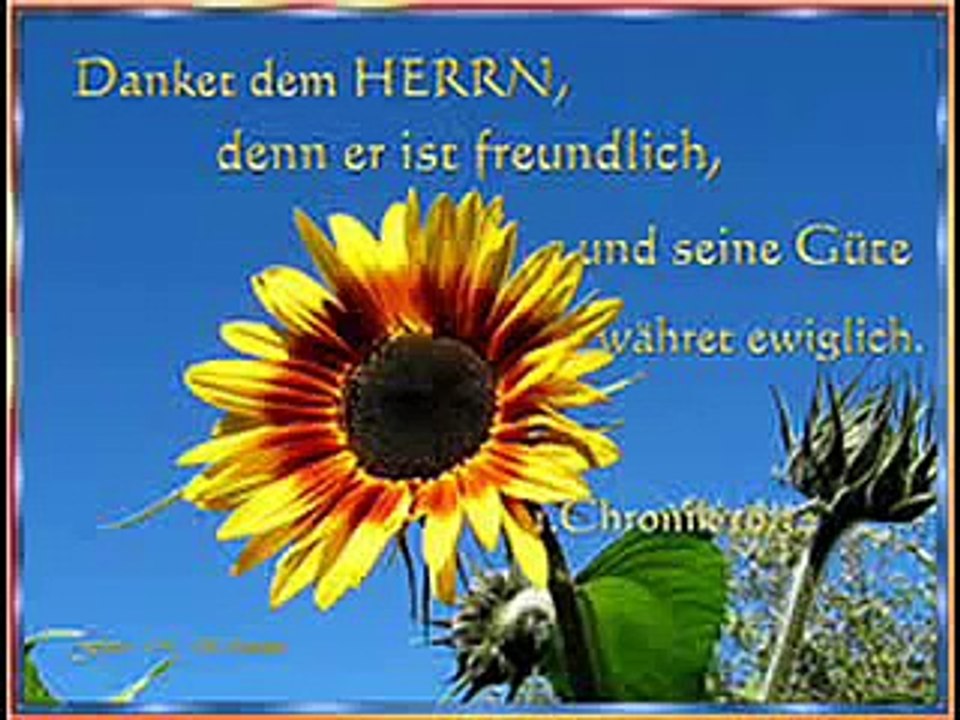 Danket dem Herrn