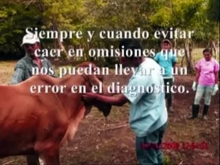 diagnostico clinico veterinario