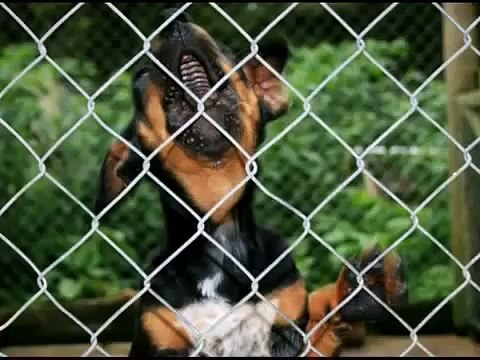 Make your own 20th Century Fox Logo intro easy with blender...