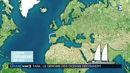 L'incroyable diversité du génome des mers et océans