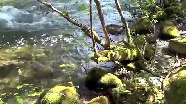 ♫ Native American Music - 'First Spirit' - Flute Guitar & Chant - Relaxing Meditation Chill Out