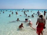 Wyspa Giftun Hurghada Morze czerwone