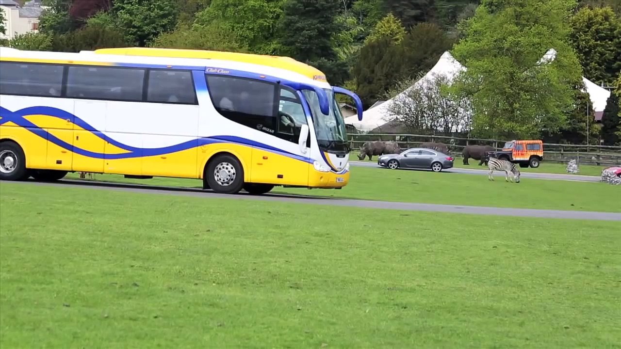 Coach Trips at WMSP