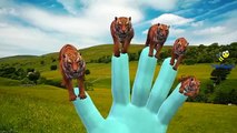 Finger Family Animals Nursery Rhymes for Children | 3D Animals Collection Rhymes for Pre S