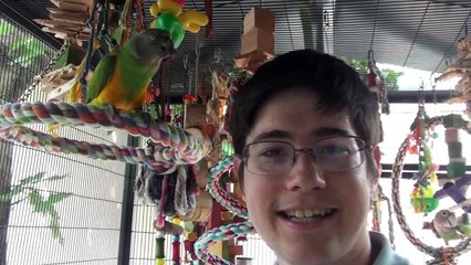 Parrots Outside in Aviary During Hot Summer Months