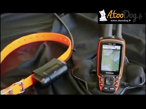 gps garmin Astro 320 pour chien