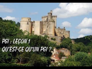 PGI 1 Qu'est ce qu'un PGI