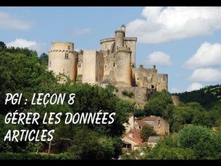 PGI 8 Gérer les articles