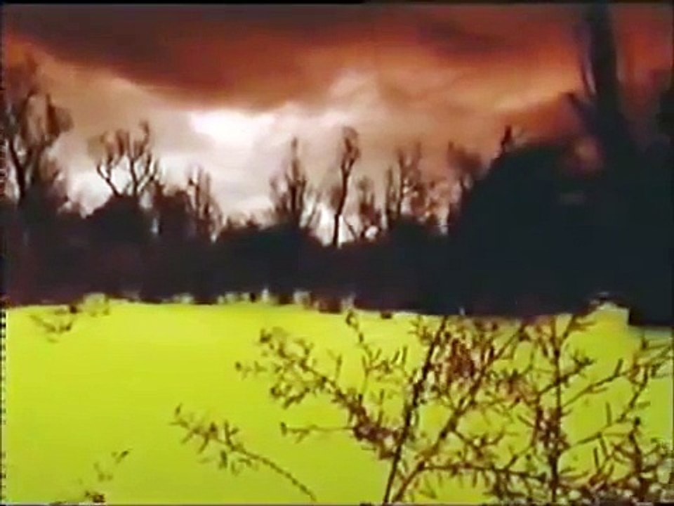 Martin Luther King Jr - The Man and the Dream