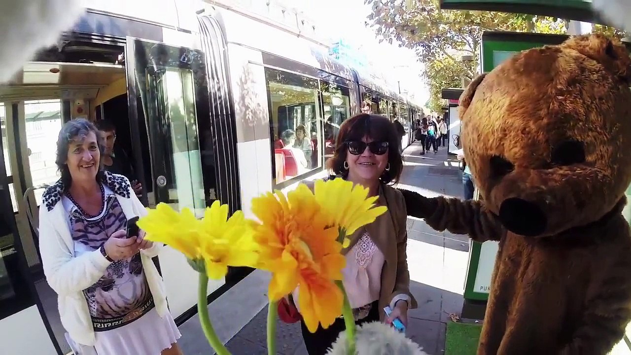 Happening       ( Caméra Cachée a  Strasbourg )