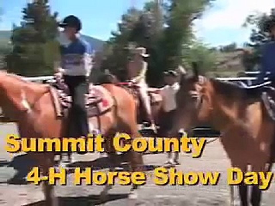 4-H Horse Show
