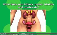 The Major Causes of Urinary Tract Infection (UTI)