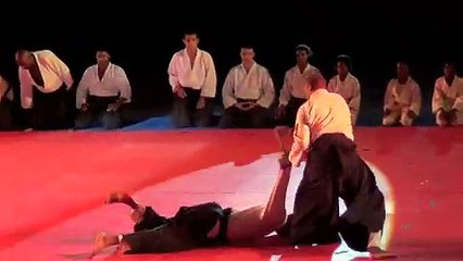 Nuit des Arts Martiaux 2015, organisée par le C.R.O.S de Martinique