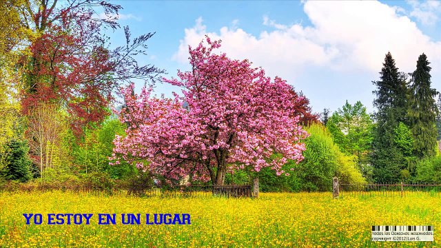 Tercer Cielo - Yo Te Extrañare [Con Letra] [HD]