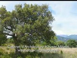Projet d'Architecture contemporaine ossature Bois en Corse(Infographie image de synthèse)Architecte