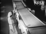 Ingenious Machines Produce Biscuits By The Million: Australian Diary 46.