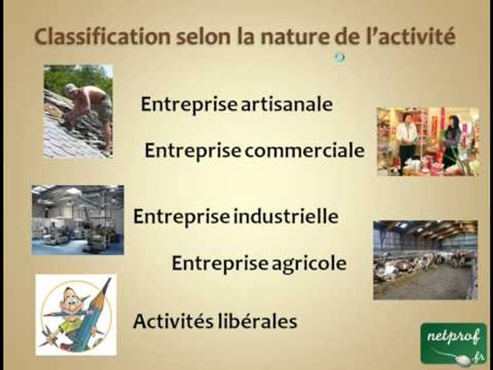 Economie : Les différents types d'entreprises