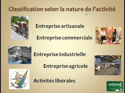 Economie : Les différents types d'entreprises
