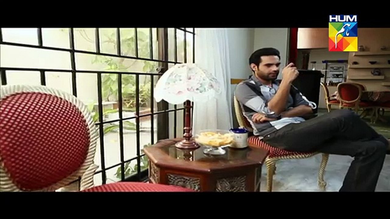 Aye Zindagi Episode 11 Full HUM TV Drama 21 May 2015