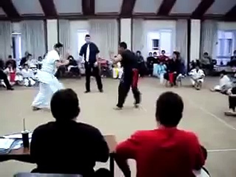 Karate Kyokushin vs Kung Fu