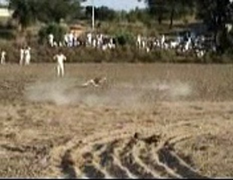 sraki Mela-Dog ty khrghosh da muqabla ,,,very very fast-Masha Allah mobile Taunsa 03336466861