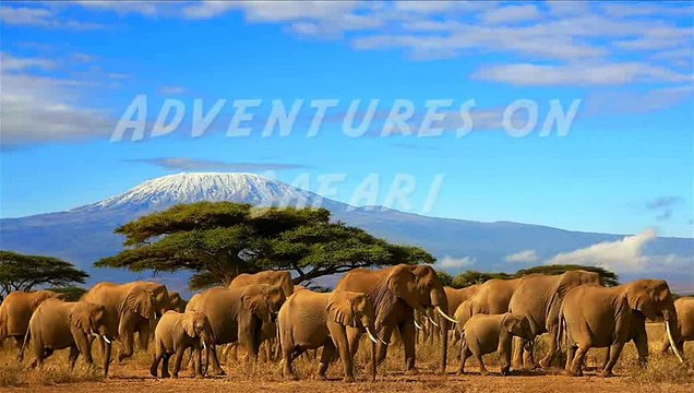 Georges Gondard : Adventures on Safari (Main theme)