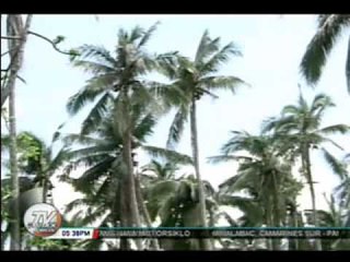 TV Patrol Bicol - September 9, 2014