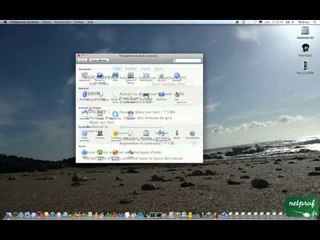 Inverser les couleurs et modifier le contraste