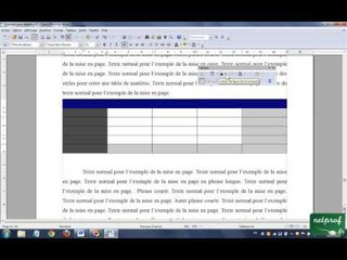 Open Office Writer Insérer un tableau avec un titre et une légende