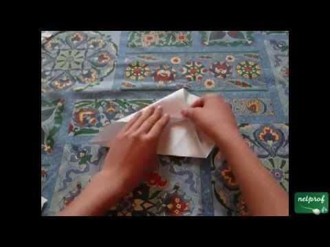 Apprendre en musique à plier un cygne qui bat des ailes