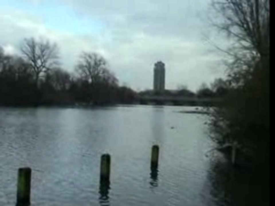 Serpentine