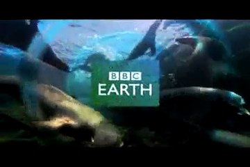 BBC-Life Documentary