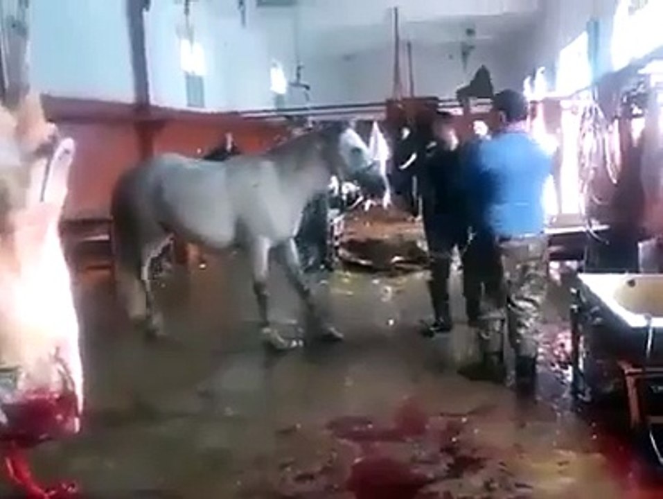 Jhalat Ki Intaha Dekho