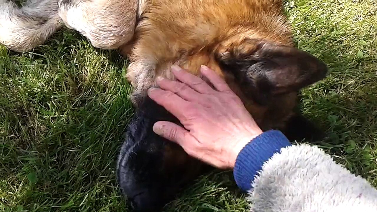 Belle se détend....