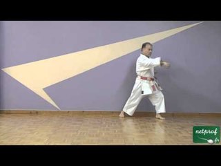 8-5, Variation 4, Taikioku Shodan , Gyaku Zuki, Mae Geri