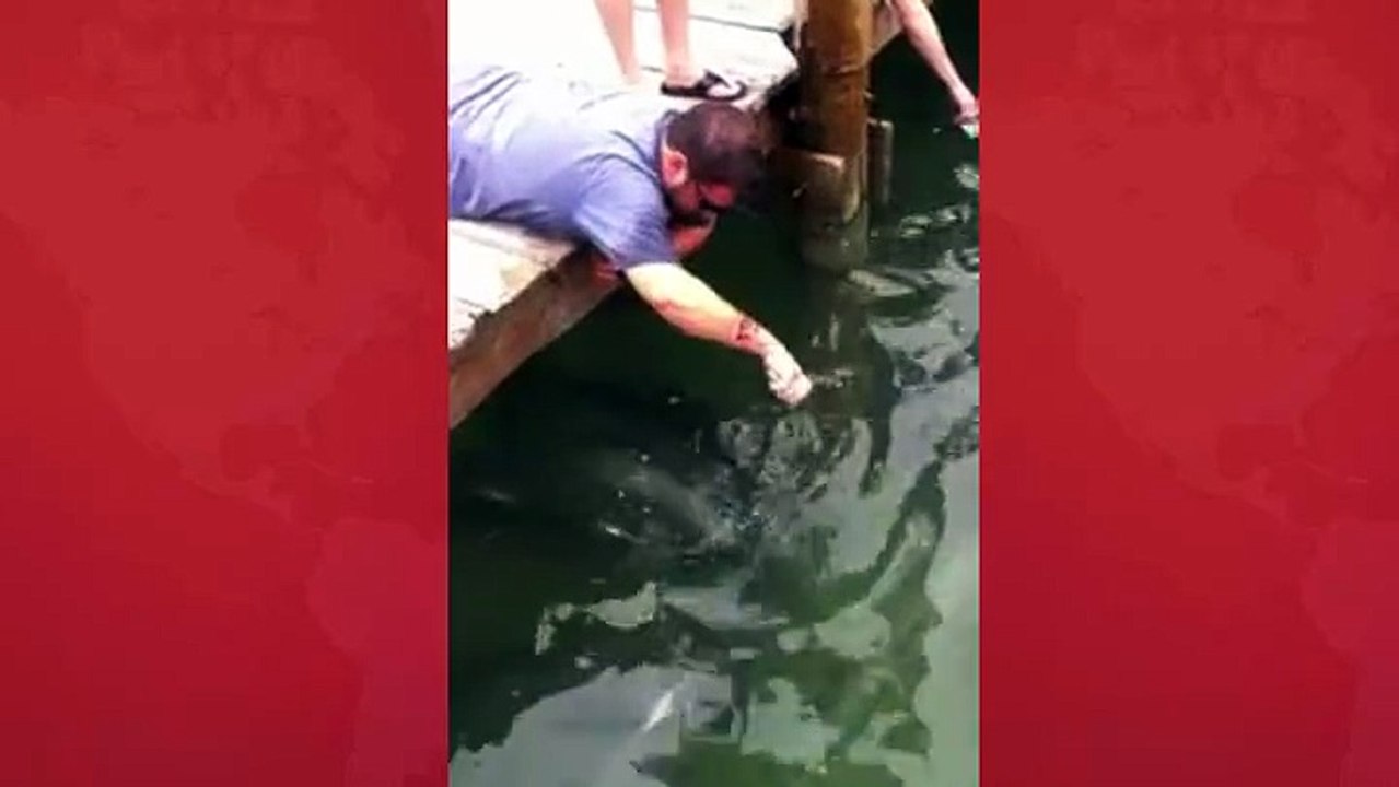 Attack of fish on a man......................